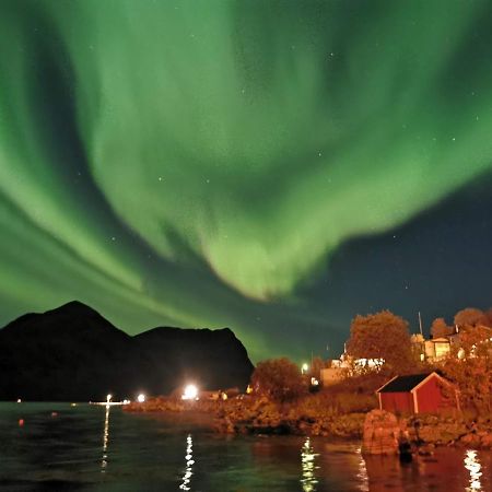 Torsken Waterfront Senja 아파트 외부 사진