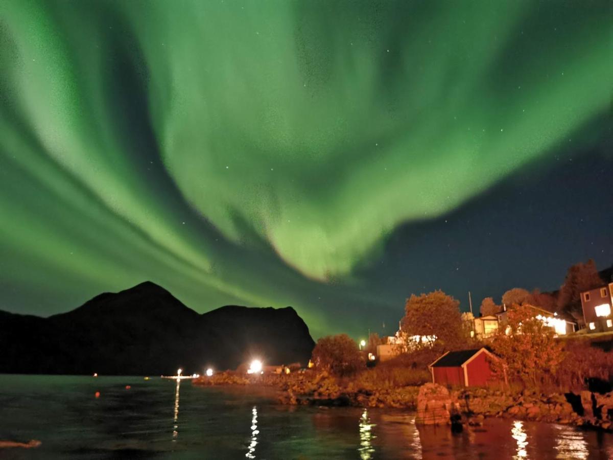 Torsken Waterfront Senja 아파트 외부 사진