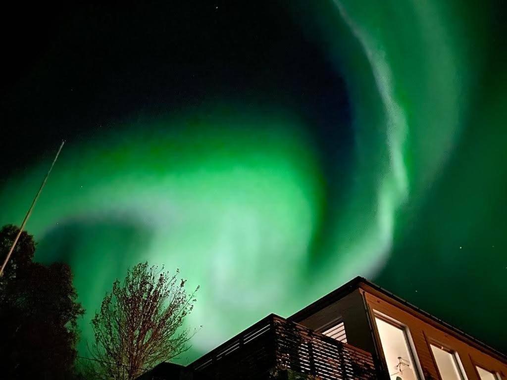 Torsken Waterfront Senja 아파트 외부 사진