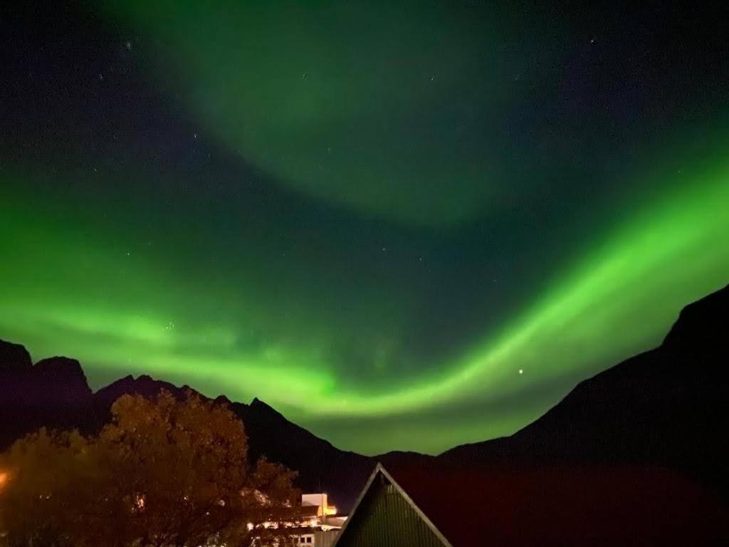 Torsken Waterfront Senja 아파트 외부 사진