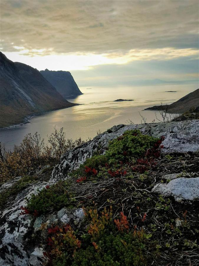 Torsken Waterfront Senja 아파트 외부 사진