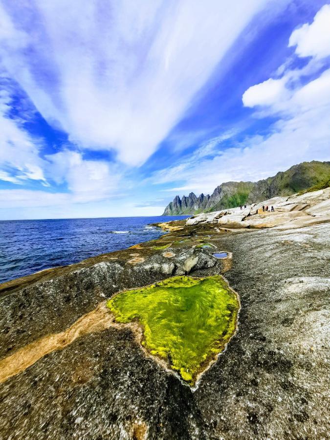 Torsken Waterfront Senja 아파트 외부 사진