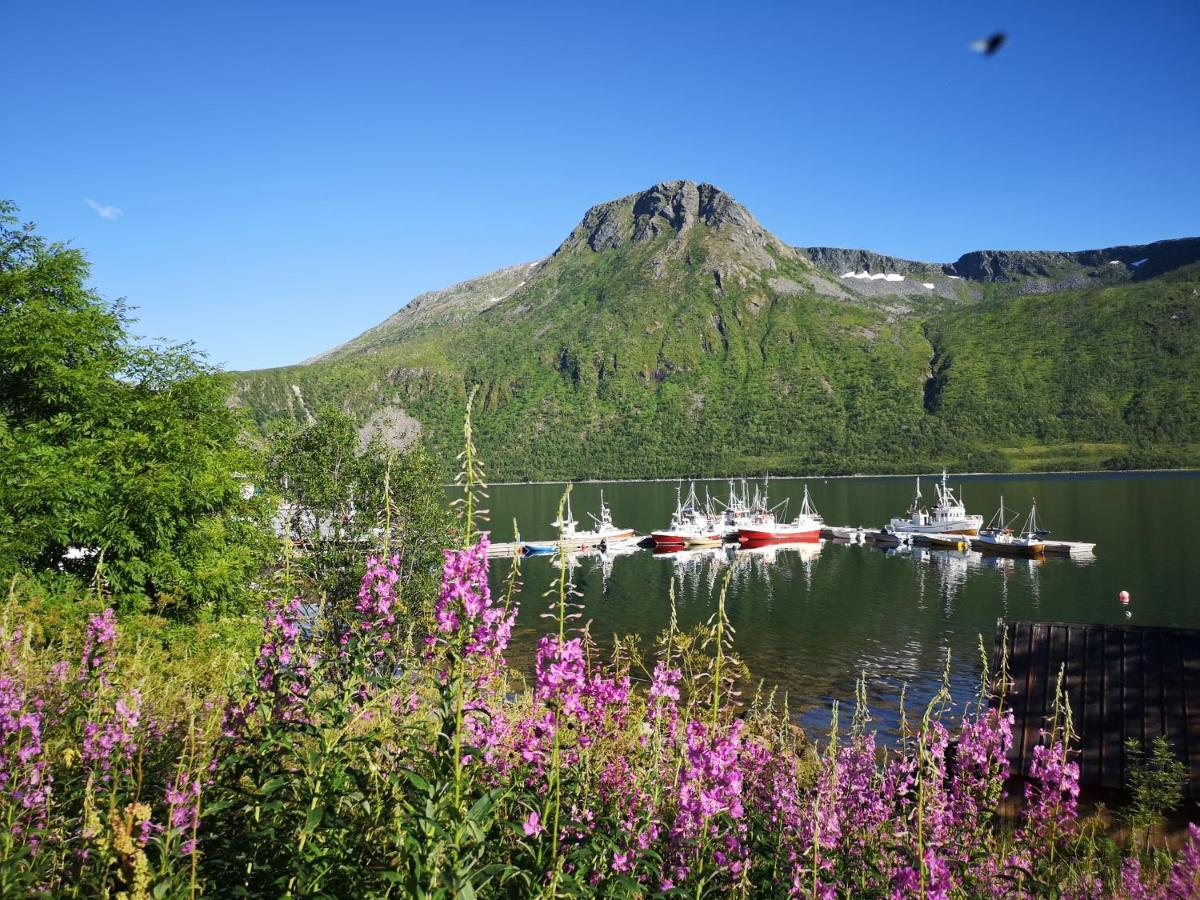 Torsken Waterfront Senja 아파트 외부 사진