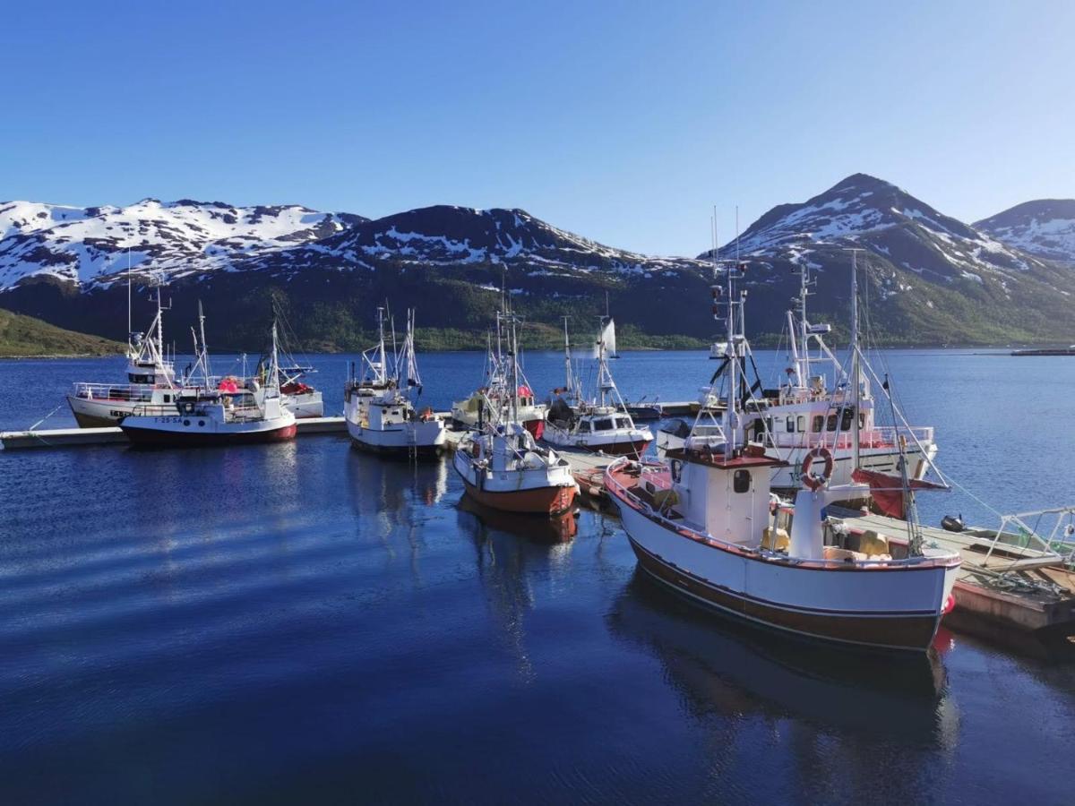 Torsken Waterfront Senja 아파트 외부 사진