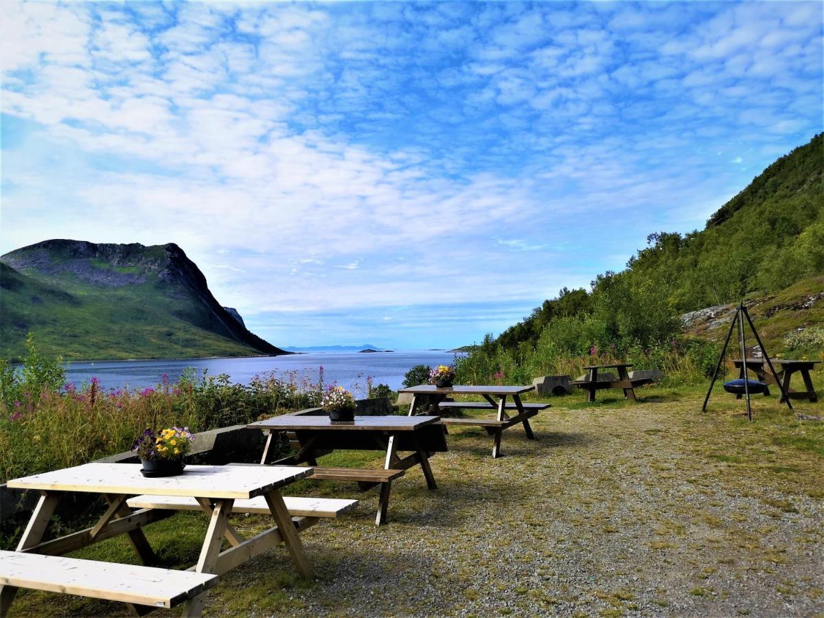 Torsken Waterfront Senja 아파트 외부 사진