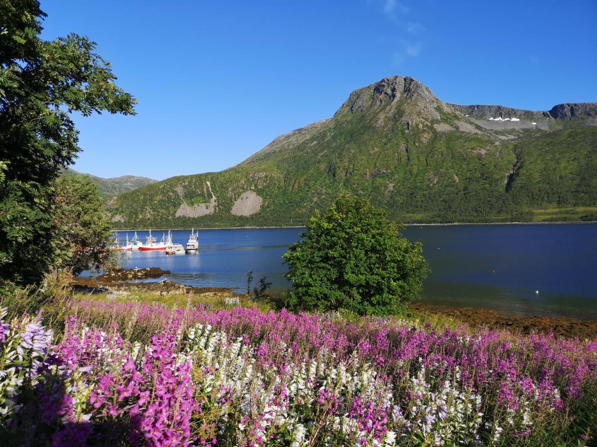 Torsken Waterfront Senja 아파트 외부 사진