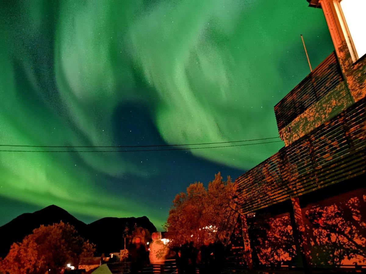 Torsken Waterfront Senja 아파트 외부 사진