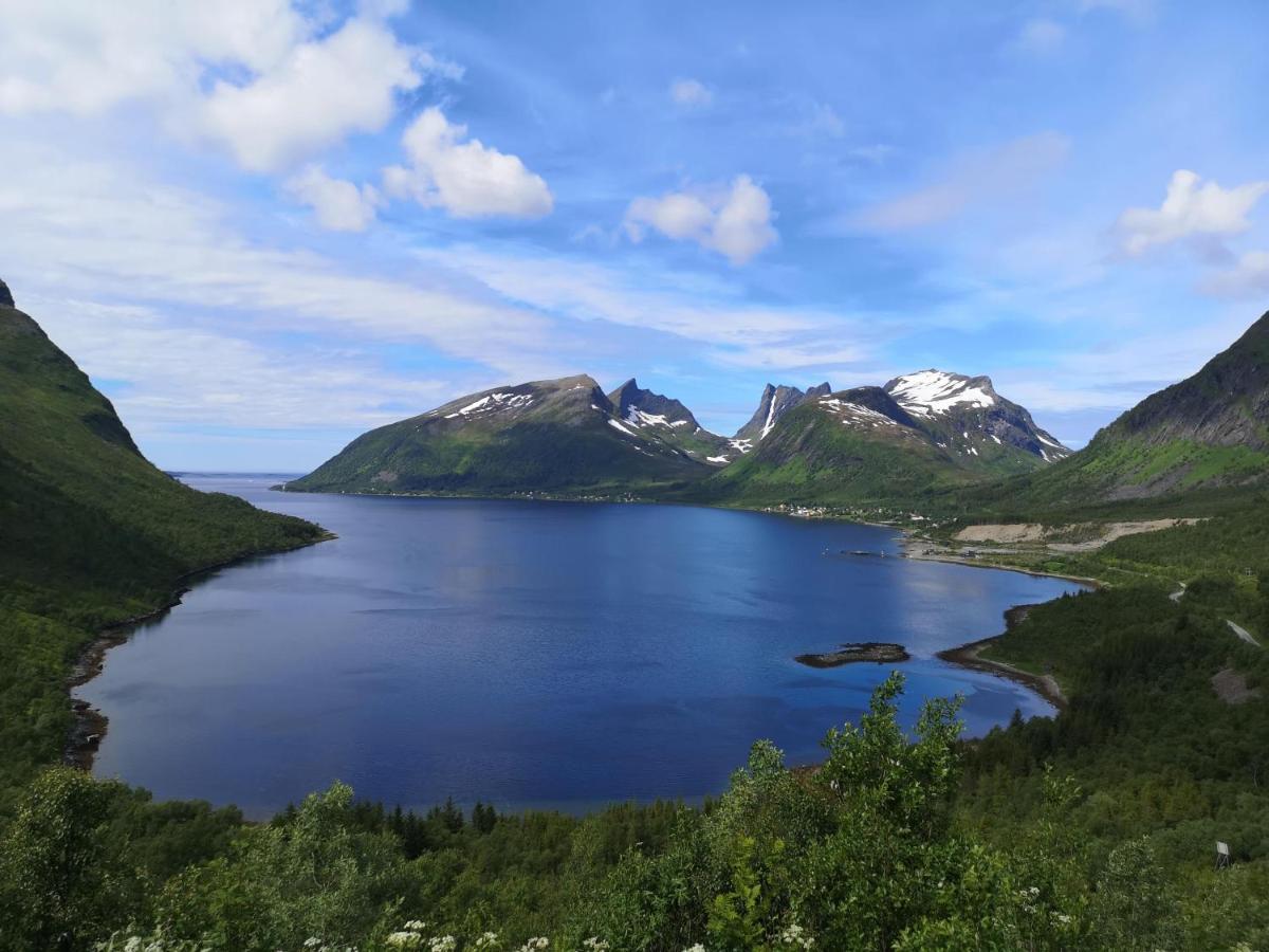 Torsken Waterfront Senja 아파트 외부 사진